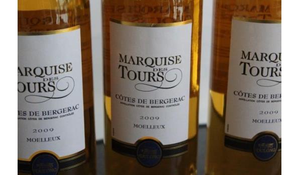 7 flessen à 75cl wijn, Marquise des Tours, Moulleux, Côtes de Bergerac